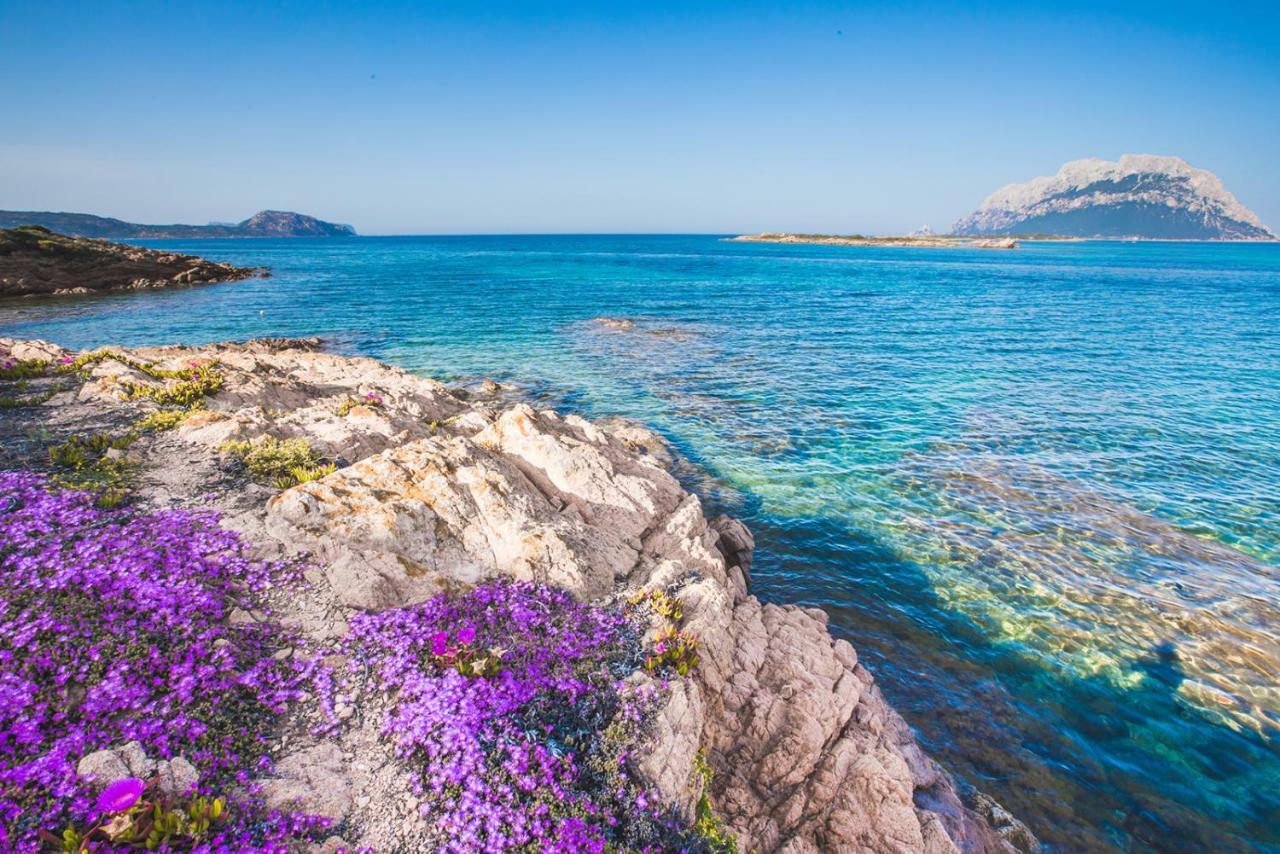 Hotel Il Faro Di Molara بورتو سان باولو المظهر الخارجي الصورة